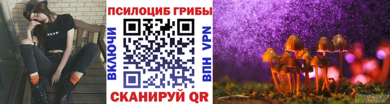 Купить где  Новопавловск  Галлюциногенные грибы Psilocybine cubensis 